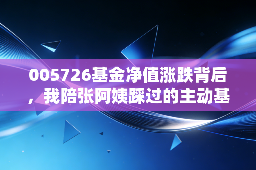 005726基金净值涨跌背后,我陪张阿姨踩过的主动基投资那些坑