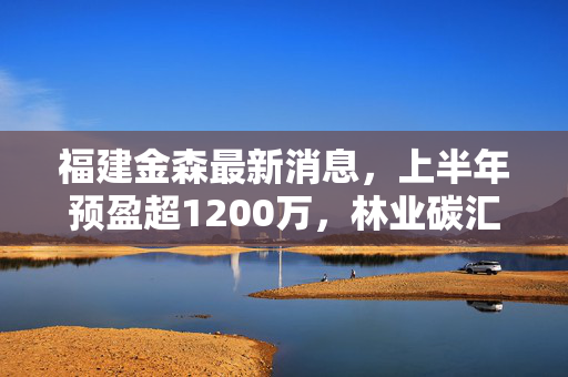 福建金森最新消息,上半年预盈超1200万,林业碳汇躺赚神话真的能复制吗?