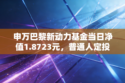 申万巴黎新动力基金当日净值1.8723元,普通人定投3年赚出首付的底层逻辑是什么?