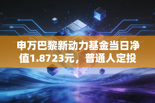 申万巴黎新动力基金当日净值1.8723元,普通人定投3年赚出首付的底层逻辑是什么?