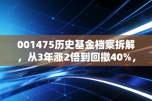 001475历史基金档案拆解，从3年涨2倍到回撤40%，普通基民踩过的坑都写在它的涨跌里