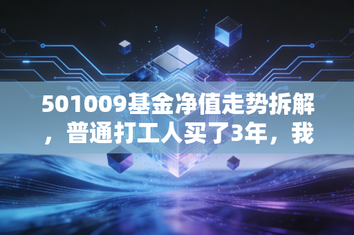 501009基金净值走势拆解,普通打工人买了3年,我为什么说它是稳型基民的试金石