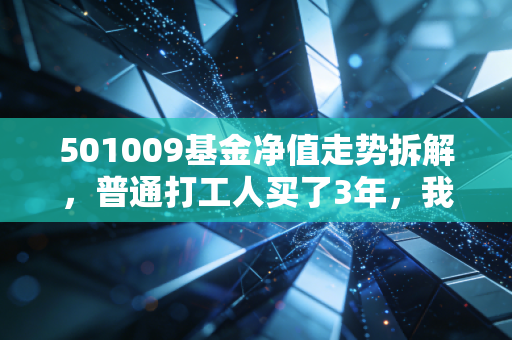 501009基金净值走势拆解，普通打工人买了3年，我为什么说它是稳型基民的试金石