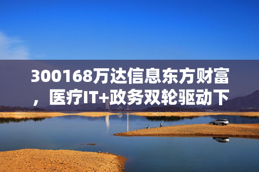 300168万达信息东方财富,医疗IT+政务双轮驱动下,2024年的估值修复逻辑到底踩中了哪些普通人能看懂的风口?
