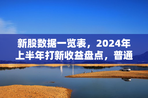 新股数据一览表，2024年上半年打新收益盘点，普通人要不要挤破头打新？