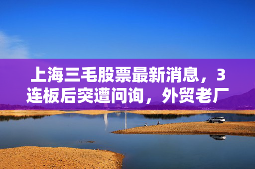上海三毛股票最新消息，3连板后突遭问询，外贸老厂的妖股标签还要贴多久？