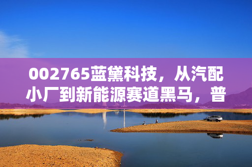 002765蓝黛科技，从汽配小厂到新能源赛道黑马，普通散户要不要上车？