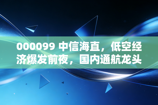 000099 中信海直,低空经济爆发前夜,国内通航龙头的价值重估之路