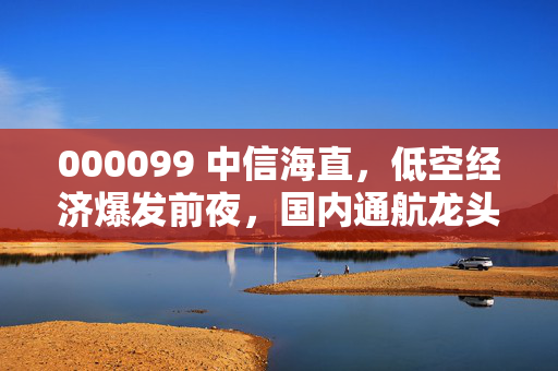 000099 中信海直,低空经济爆发前夜,国内通航龙头的价值重估之路