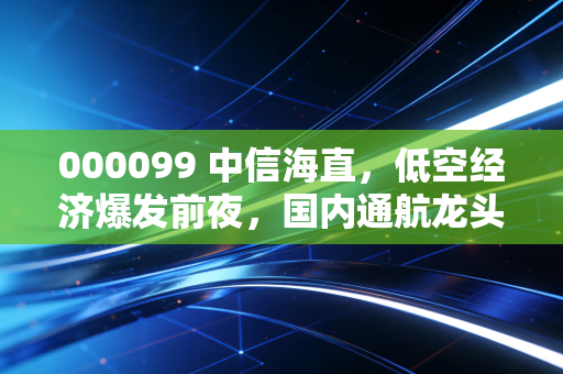 000099 中信海直，低空经济爆发前夜，国内通航龙头的价值重估之路
