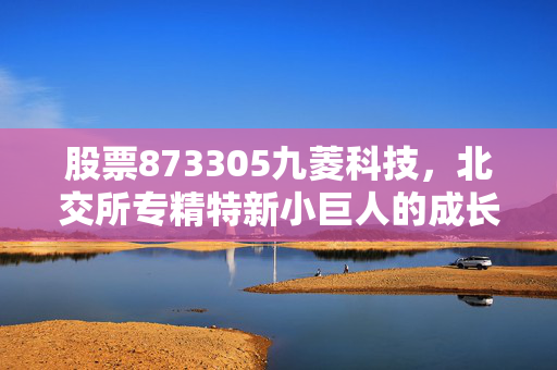 股票873305九菱科技,北交所专精特新小巨人的成长逻辑与普通人的投资入场参考