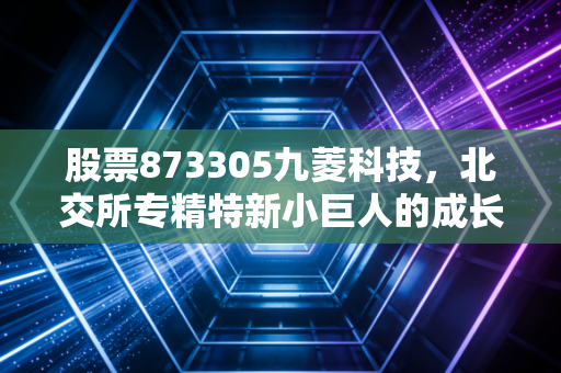 股票873305九菱科技，北交所专精特新小巨人的成长逻辑与普通人的投资入场参考