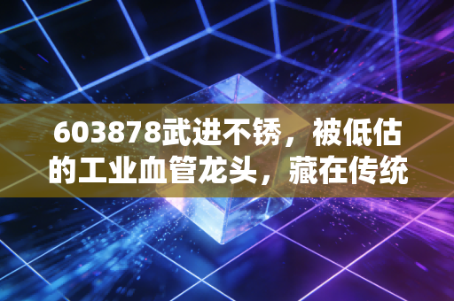 603878武进不锈，被低估的工业血管龙头，藏在传统制造里的长期主义红利