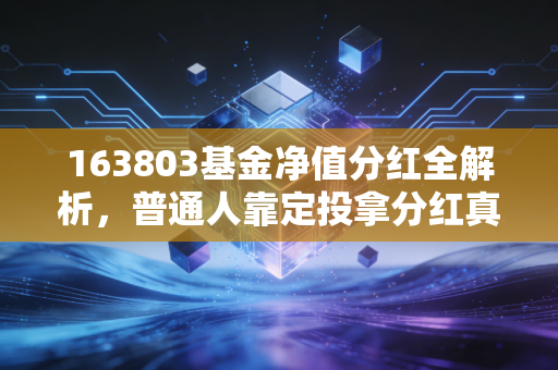 163803基金净值分红全解析，普通人靠定投拿分红真的能躺赢吗？我姑姑12年持有经验给你答案