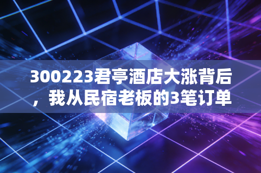300223君亭酒店大涨背后,我从民宿老板的3笔订单,看懂了可选消费的真实复苏逻辑