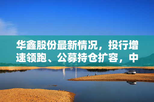 华鑫股份最新情况，投行增速领跑、公募持仓扩容，中小券商差异化突围能给普通人什么启示？