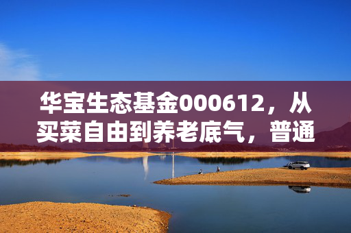 华宝生态基金000612，从买菜自由到养老底气，普通人搭碳中和快车的靠谱选择？