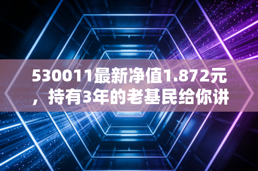 530011最新净值1.872元,持有3年的老基民给你讲透这只消费基的涨跌逻辑和持有建议