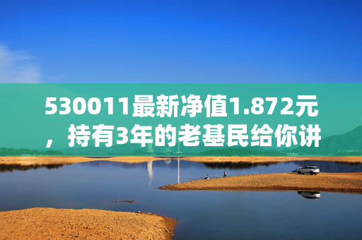 530011最新净值1.872元,持有3年的老基民给你讲透这只消费基的涨跌逻辑和持有建议