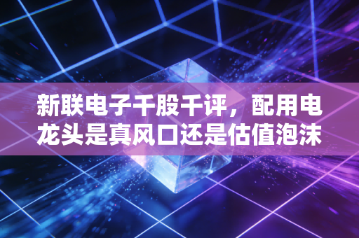 新联电子千股千评，配用电龙头是真风口还是估值泡沫？给普通散户的实操参考