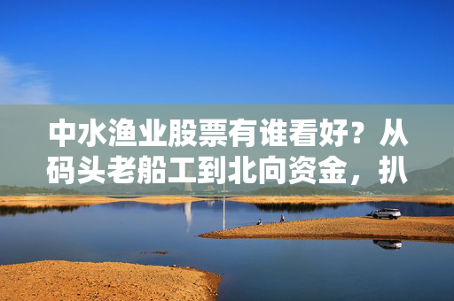 中水渔业股票有谁看好？从码头老船工到北向资金，扒一扒3类持仓者的真实逻辑