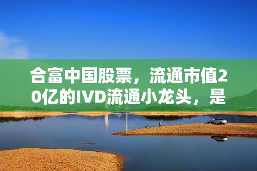 合富中国股票,流通市值20亿的IVD流通小龙头,是估值洼地还是炒作噱头?