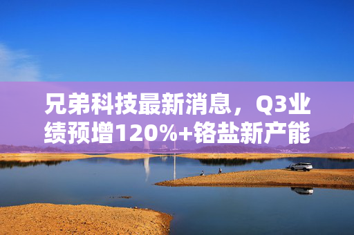 兄弟科技最新消息，Q3业绩预增120%+铬盐新产能释放，能不能拿下维生素+新能源双赛道红利？