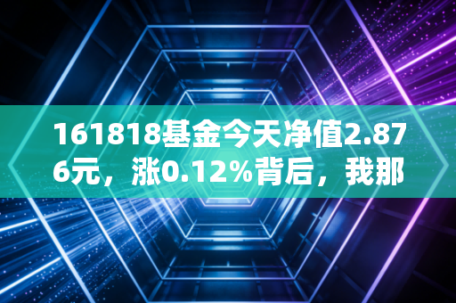 161818基金今天净值2.876元，涨0.12%背后，我那月薪6k的朋友靠定投3年攒够了10万娃的教育金