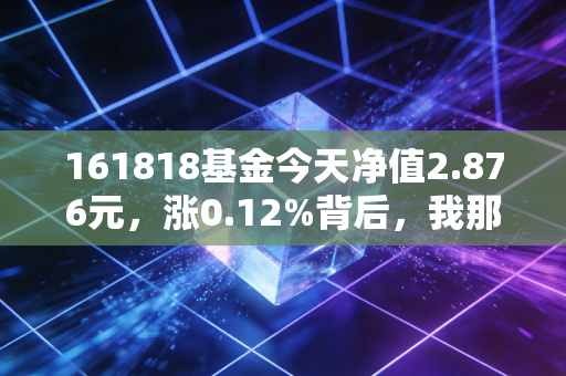 161818基金今天净值2.876元，涨0.12%背后，我那月薪6k的朋友靠定投3年攒够了10万娃的教育金