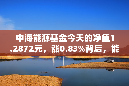 中海能源基金今天的净值1.2872元，涨0.83%背后，能源赛道投资是长期风口还是短期炒作？