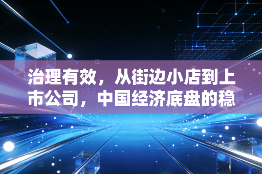 治理有效，从街边小店到上市公司，中国经济底盘的稳增长密码