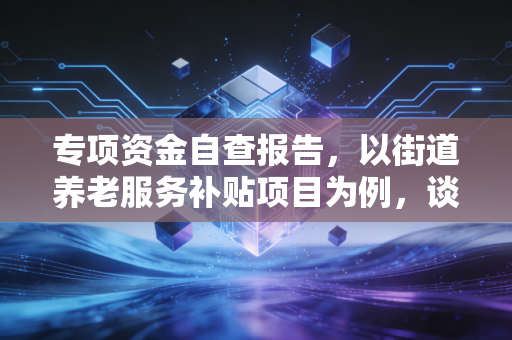 专项资金自查报告，以街道养老服务补贴项目为例，谈财政民生资金落地的堵点破局与长效监管路径