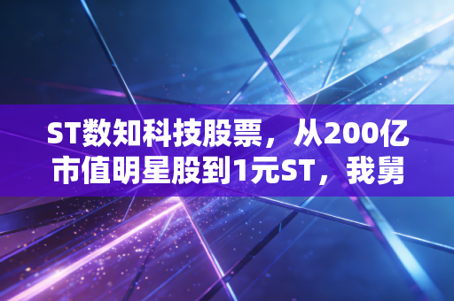 ST数知科技股票，从200亿市值明星股到1元ST，我舅爹20万亏剩2万的教训太惨痛