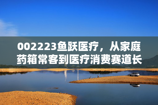 002223鱼跃医疗，从家庭药箱常客到医疗消费赛道长跑选手，估值修复逻辑硬不硬？