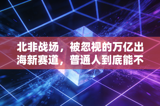 北非战场，被忽视的万亿出海新赛道，普通人到底能不能分一杯羹？