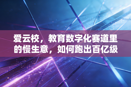 爱云校，教育数字化赛道里的慢生意，如何跑出百亿级市场的长期复利？