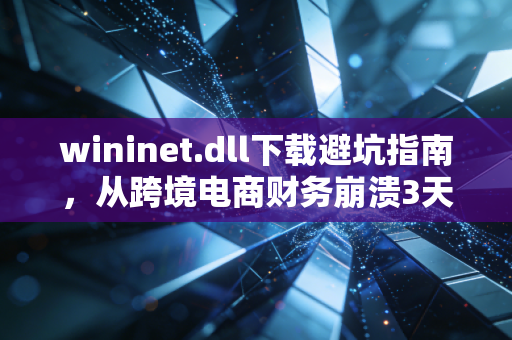 wininet.dll下载避坑指南,从跨境电商财务崩溃3天的案例,看小微企业数字化办公的隐性成本