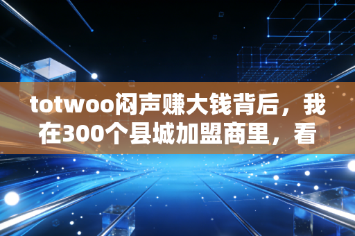 totwoo闷声赚大钱背后,我在300个县城加盟商里,看见下沉市场消费的隐形密码