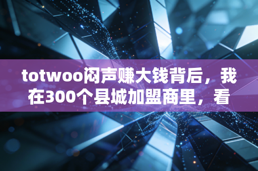 totwoo闷声赚大钱背后,我在300个县城加盟商里,看见下沉市场消费的隐形密码