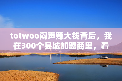 totwoo闷声赚大钱背后，我在300个县城加盟商里，看见下沉市场消费的隐形密码