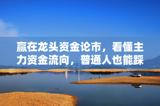 赢在龙头资金论市，看懂主力资金流向，普通人也能踩准A股涨跌节奏
