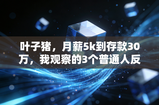 叶子猪，月薪5k到存款30万，我观察的3个普通人反套路攒钱真相