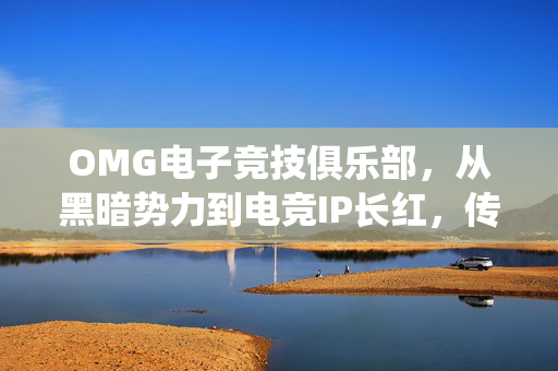 OMG电子竞技俱乐部，从黑暗势力到电竞IP长红，传统电竞俱乐部的商业化破局样本
