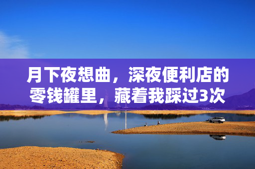 月下夜想曲，深夜便利店的零钱罐里，藏着我踩过3次坑才摸透的普通人理财真相