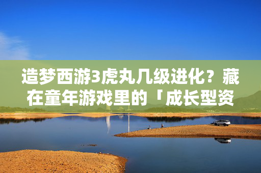 造梦西游3虎丸几级进化?藏在童年游戏里的「成长型资产」底层逻辑