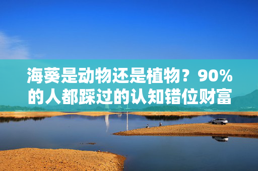 海葵是动物还是植物?90%的人都踩过的认知错位财富陷阱