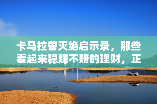 卡马拉兽灭绝启示录，那些看起来稳赚不赔的理财，正在偷偷吞掉你的存款