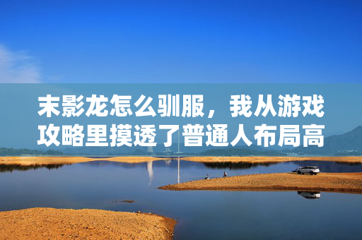 末影龙怎么驯服,我从游戏攻略里摸透了普通人布局高壁垒赛道的财富逻辑