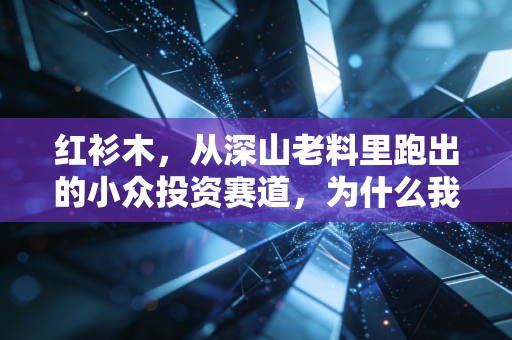 红衫木，从深山老料里跑出的小众投资赛道，为什么我劝普通人别盲目跟风