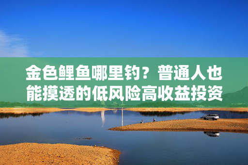金色鲤鱼哪里钓？普通人也能摸透的低风险高收益投资寻宝指南